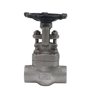 Gate Valve